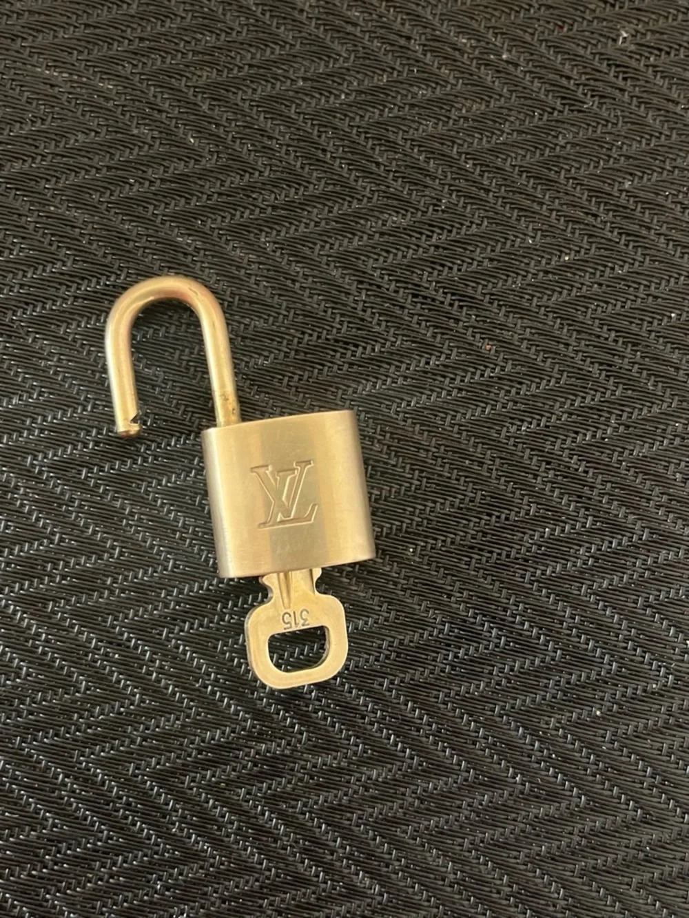 Louis Vuitton authentic louis
